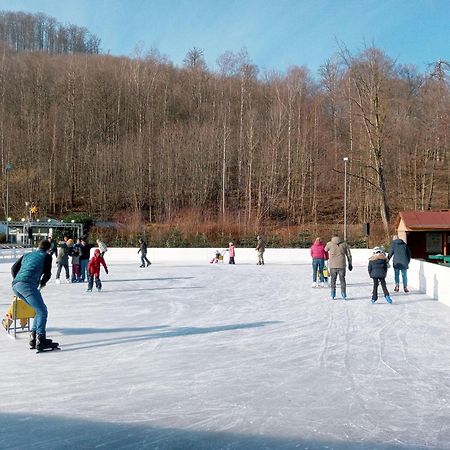 Fewo-Radau Bad Harzburg Buitenkant foto