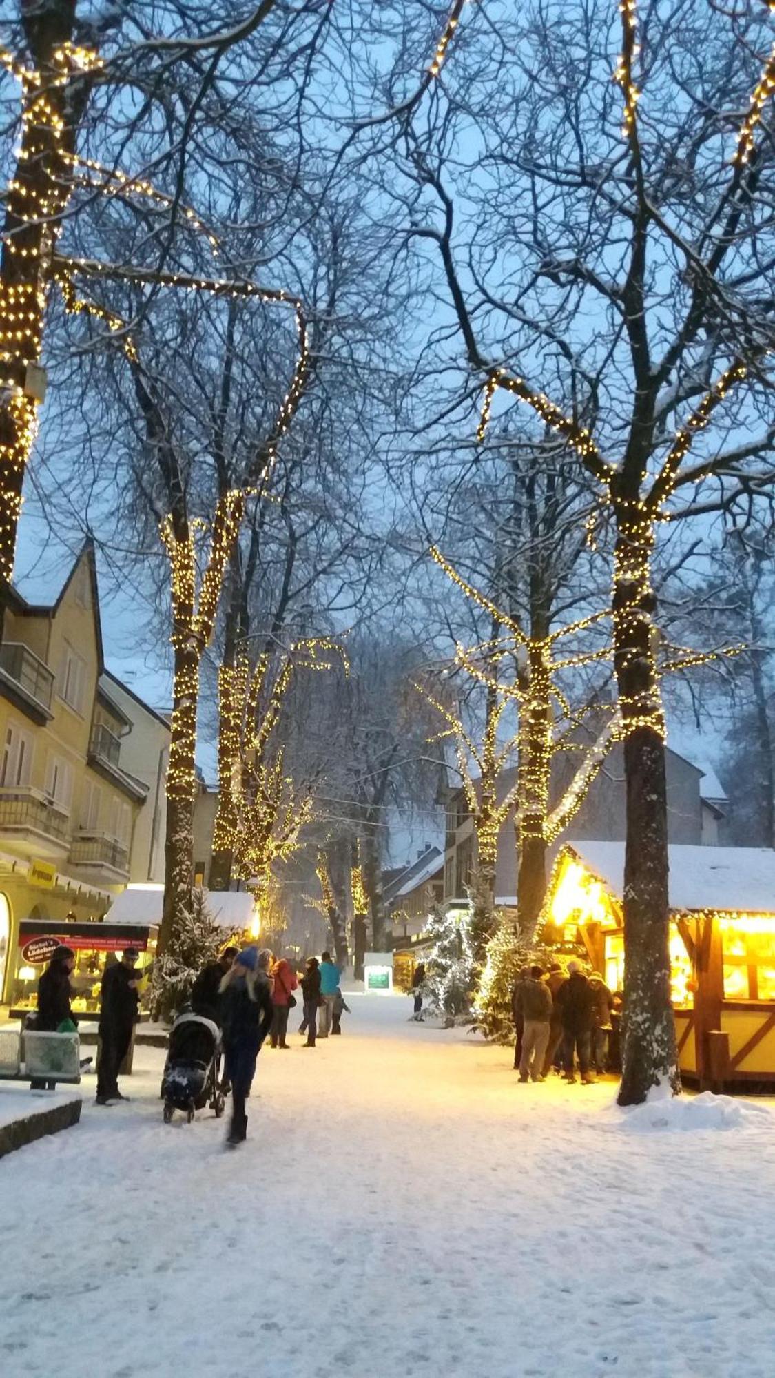Fewo-Radau Bad Harzburg Buitenkant foto