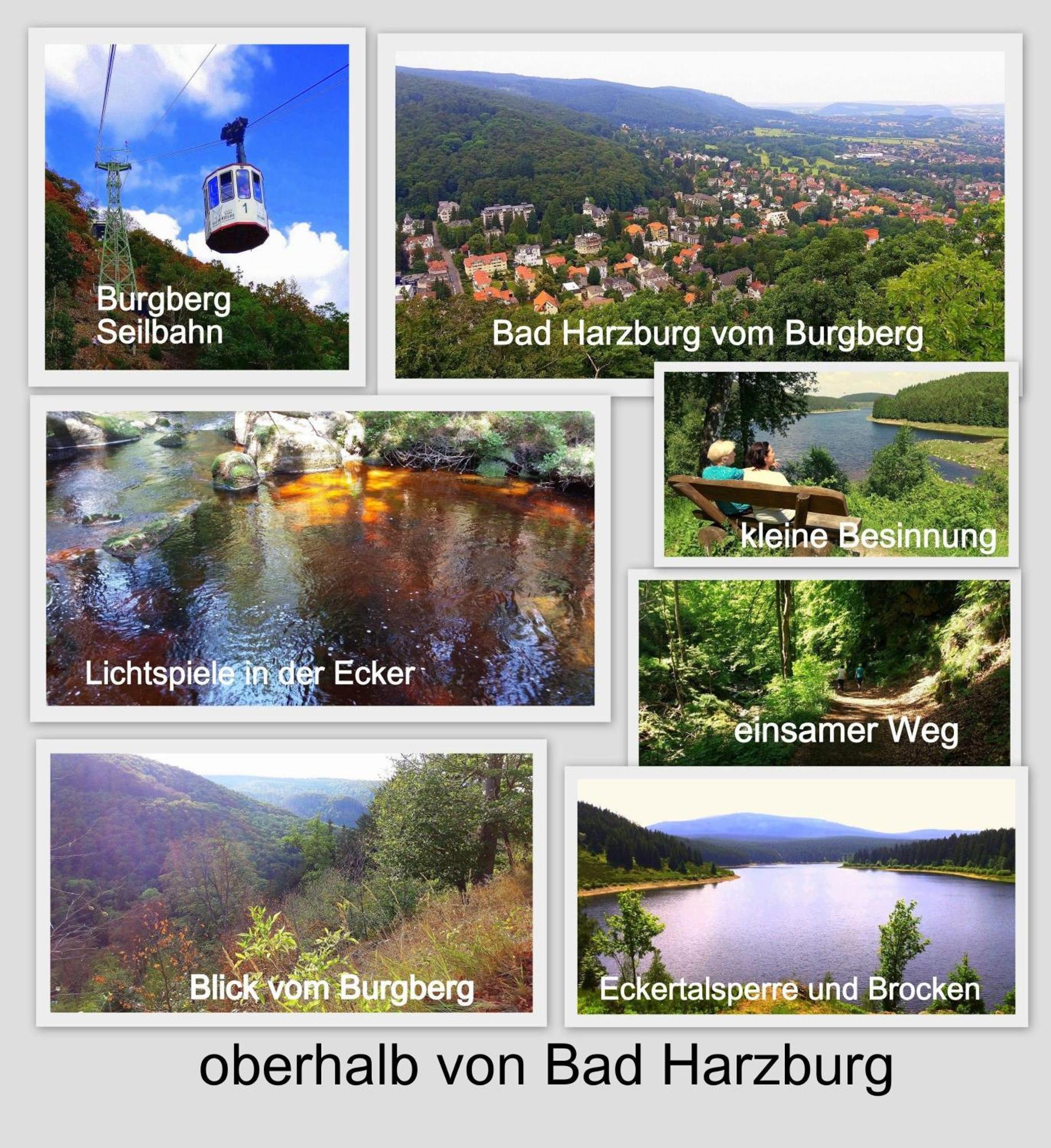 Fewo-Radau Bad Harzburg Buitenkant foto
