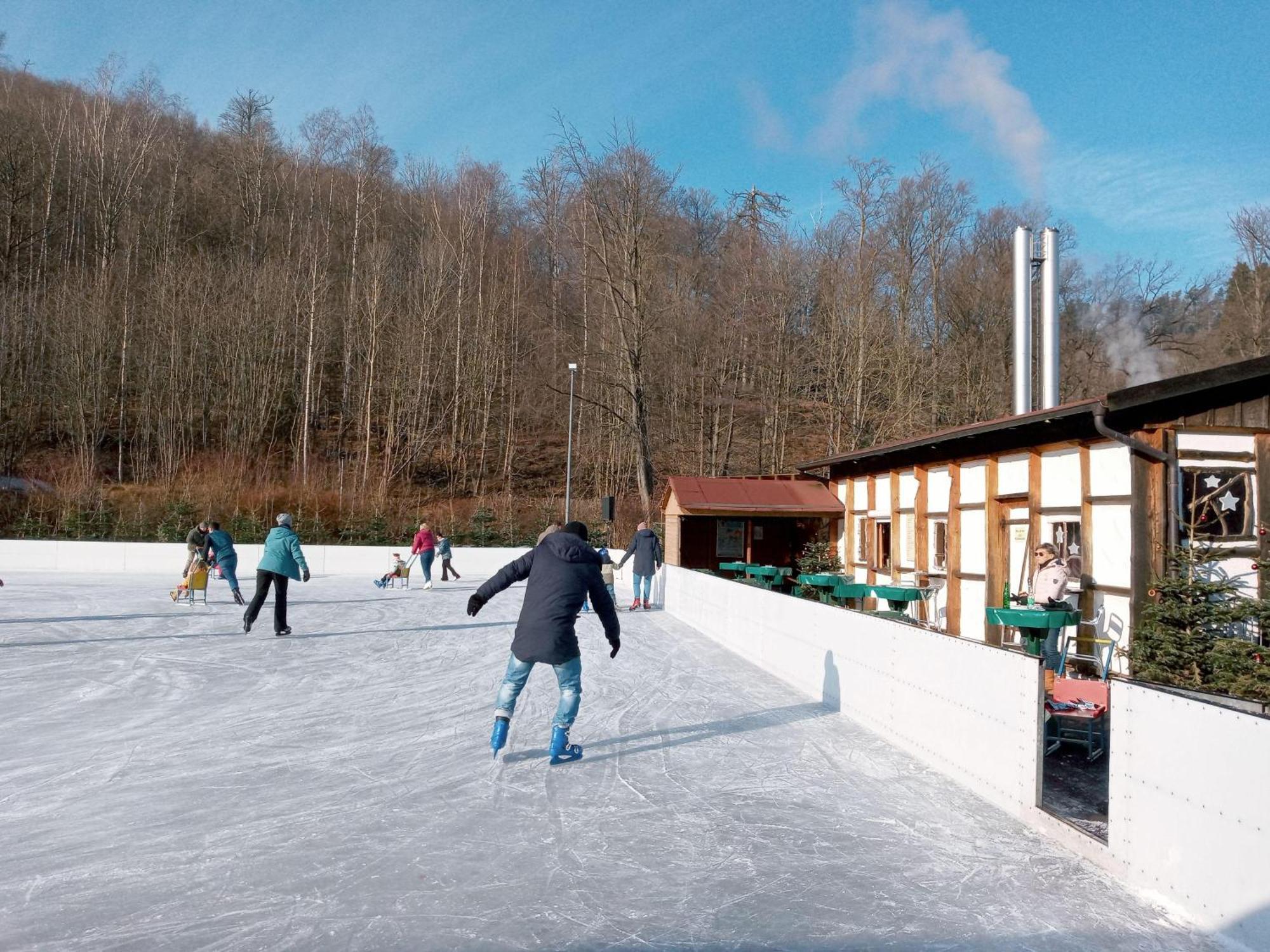 Fewo-Radau Bad Harzburg Buitenkant foto